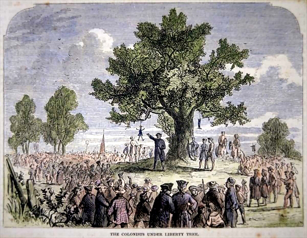 Famous Liberty Tree in Boston with effigy hanging from it